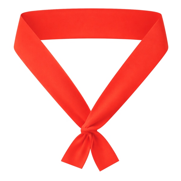 Orange chef necktie, hibachi chef necktie orange, orange sushi chef necktie, orange necktie